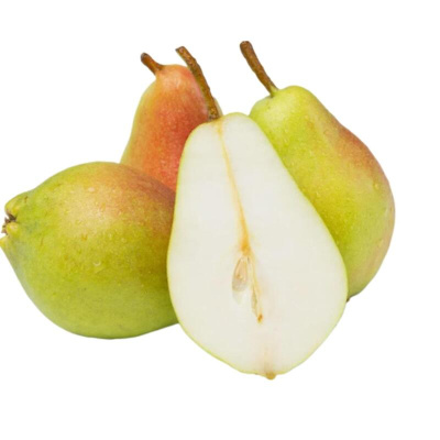 Груша Санта Мария