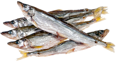 Корюшка вяленая Дальний восток вес