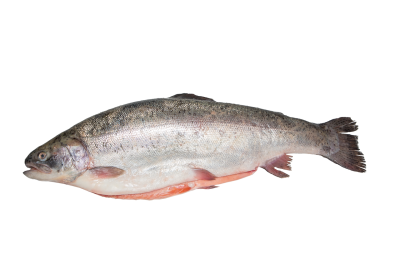 Форель охлажденная ™Балтийская форель, вес
