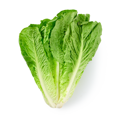 Салат Ромэн, шт. Лидер Фреш