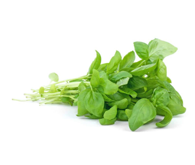 Базилик зелёный весовой