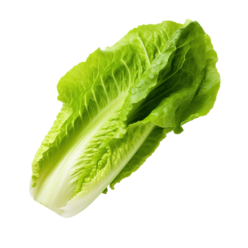 Салат Ромэн, шт.