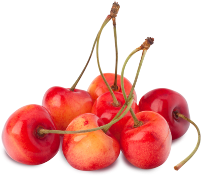 Черешня розовая
