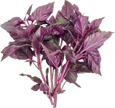 Базилик красный весовой