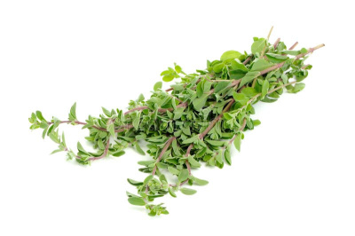 Майоран РАСТИМ РЯДОМ