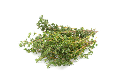 Тимьян свежий