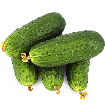 Огурцы домашние