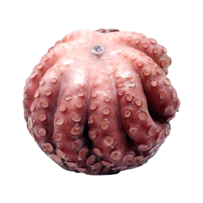 Осьминог с/м 1-2кг, Индонезия заморозка