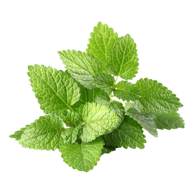 Мелисса РАСТИМ РЯДОМ