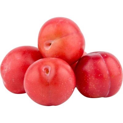 Слива розовая