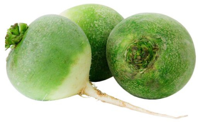 Редька Маргеланская