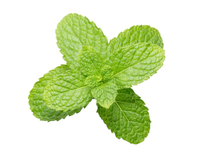 Мята РАСТИМ РЯДОМ