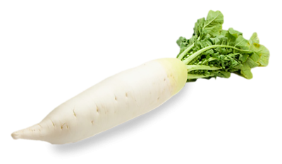Дайкон