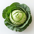 Капуста, листья салата